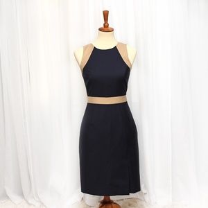 navy blue and tan dress